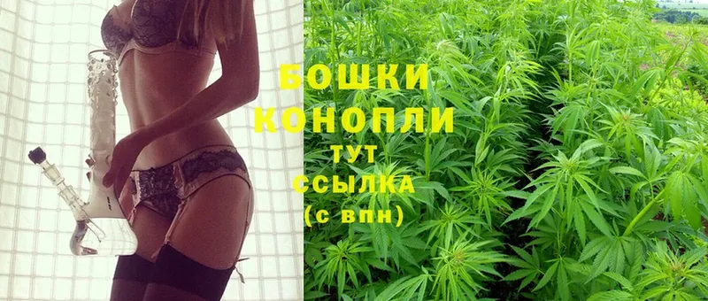 Конопля White Widow  купить наркотики сайты  hydra как зайти  Алексеевка 